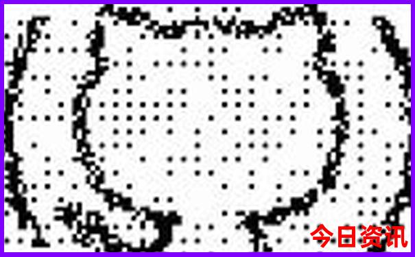 成都带娃两日游攻略